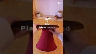 Person Builds DIY Plant Stand Using Old Lamp Shade | SHORTS