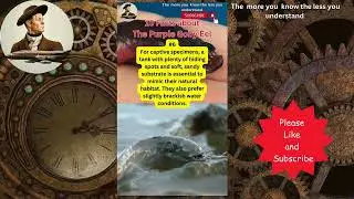 10 Facts About The Purple Goby Eel #weird #animals #nature #odd  @TheArchimedesFiles