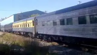 The Pine Tree Limited