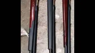 PCP ruger biggame
