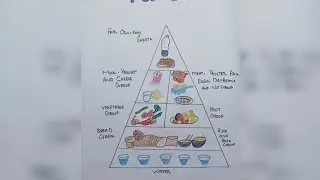 Food Pyramid Drawing||Food Pyramid Nutrition Drawing #diy #artandcraft #drawing