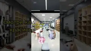 типичная суббота