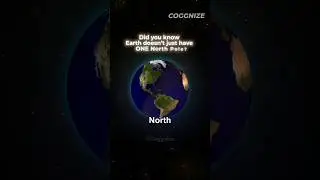 How Many North Poles Does Earth Have? #shorts
