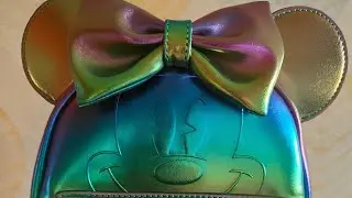 Disney haul - loungefly and spirit Jersey