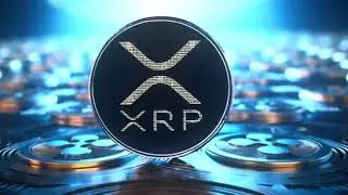XRP RIPPLE, GOOGLE & INDIA PARTNER IN GORGEOUS ISLAND COUNTRY MALDIVES!!!