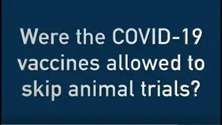 Were the COVID-19 vaccines allowed to skip animal trials?