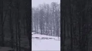 First snowfall in Manali #Manali #snowfall #himachal #November 24