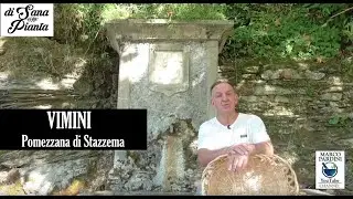 VIMINI