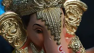 Bhajan mandaliउमरावती। गुप्ता is live 🙏 आईऐ दोस्त ☘️मिल कर वाते करे 🪴