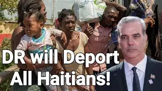 Доминиканская Республика🇩🇴 депортирует всех гаитян! КАРИКОМ🇯🇲🇹🇹🇧🇧🇰🇳🇱🇨🇬🇾🇦🇬🇻🇨🇩🇲🇬🇩 подвел Гаити🇭🇹