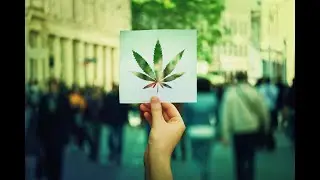 Why Tilray Aphria and OrganiGram Stocks Are All Soaring Today