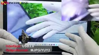 12MP IMX577 USB Cameras Module