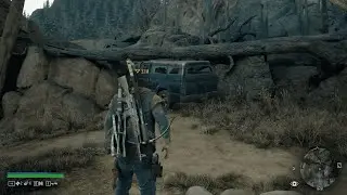 Days Gone: Visit Sarah's Memorial Stone