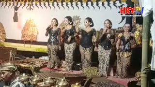 Campursari Suko Budoyo Bersih Dusun Banaran Babadan Ngajum 2025