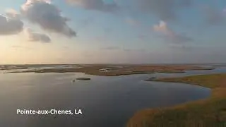 Louisiana Tiny Trips Pointe-aux-Chenes