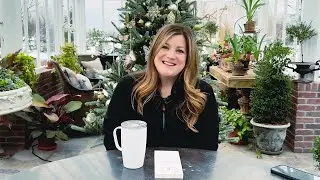 Inside Garden Answer: How Laura Built a Gardening Empire || Garden Answer Plants