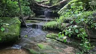 Relaxing Water / Starseed Retreat Ozark Mountains / Sounds of the Stream / Relaxing Meditation