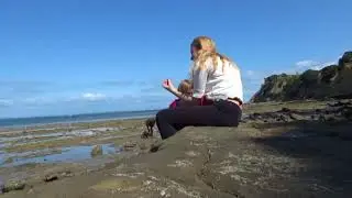 Shakespear Park