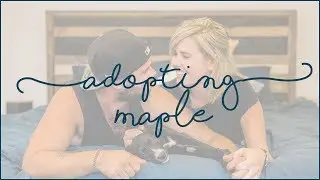 Adopting Maple | Ragamuffin Pet Photography