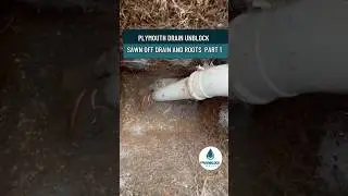 PLYMOUTH DRAIN UNBLOCK  SAWN OFF DRAIN AND ROOTS  PART 1 #shorts #drainrepair #drainunblocking