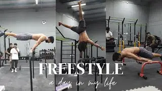 A Day at @BotFit Academy with Calisthenics Athletes🔥 | Indian Calisthenics Athletes| Lavkush Fitness