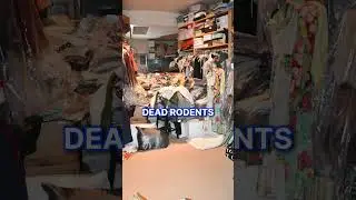Внутри дома Джина Хэкмена стоимостью 4 миллиона долларов, где был найден &laquo;мумифицированный&raquo; актер