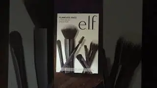 Elf makeup brush set .