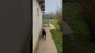 Ils se sont brouill&eacute;s