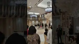 Shofar call for wedding Jews By Tom |wedding Shofar #Short