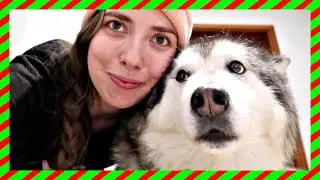 VLOGMAS 16 2020 PRZYJECHAŁAM DO PIESKÓW GlamPaula