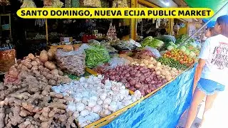 SANTO DOMINGO NUEVA ECIJA PUBLIC MARKET WALK TOUR