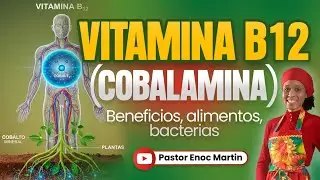 🔴 VITAMINA B12 (COBALAMINA) Beneficios, alimentos, bacterias | La Gu&iacute;a Vegana 