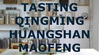 2019 Tea Addicts - Tea Tasting Qingming Huangshan Maofeng Tiffy Anhui Green Tea