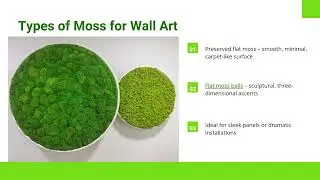 The Complete Care Guide for Preserved Moss Wall Art: Maintenance, Benefits, and Styling Tips
