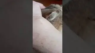 #хаям #омархайям #умныеслова #мудрыецитаты #восточнаямудрость