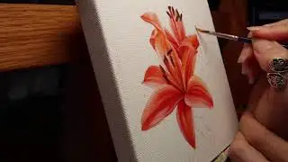 Tiger Lily Painting Demo by Julia Haw