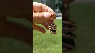 Mystical gifts for next 24rs @ Sacred Torus Copper and Crystals