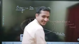Human Reproduction-Formation of Graffian Follicle