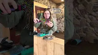 Horse Mane and Tail Brush REVIEW!