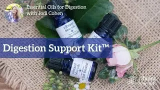 Digestion Support Essential Oil Kit - Vibrant Blue Oils, Jodi Cohen