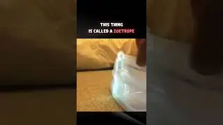 Иллюзия движения - Зоотроп