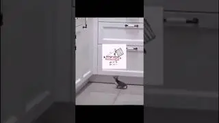 Engineer Cat #trending #viral #youtubeshorts