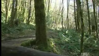 Historic trail in jeopardy