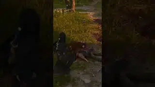 CEL MAI PUTERNIC ALIAT DIN AC SHADOWS #assassinscreedshadows  #tutorial  #guide #ps5 #ps5gameplay