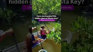 Adventure in Sarasota, Florida in a clear kayak