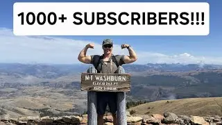 Достигнута отметка в 1000 подписчиков!