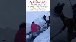Extreme Cold in Murree #Murree #HeavySnowfall #ExtremeCold #WinterSeason #SnowStorm #shorts #viral