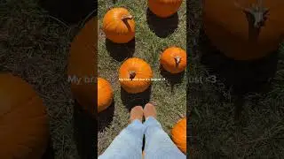 My brain 24/7 🍁🍂 #shorts #fallseason #autumn #summer #falliscoming