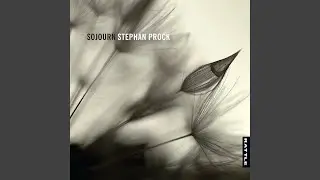 Stradivariazioni II. Firebird, Allegro Scherzando