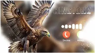 Chill Best Ringtone 2025 Hindi Ringtone New Ringtone Mobile Phone Ringtone love Ringtone Romantic